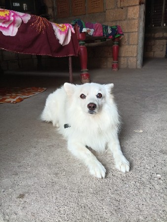 थंबनेल 3