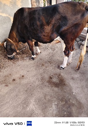 थंबनेल 3