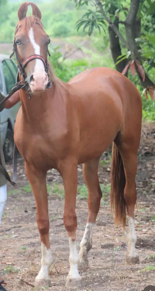 थंबनेल 2