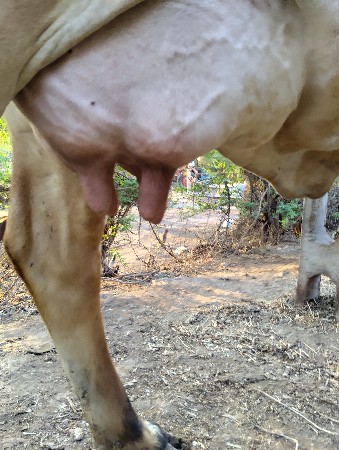 थंबनेल 2