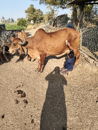 थंबनेल 2