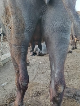 थंबनेल 3