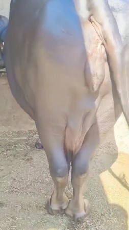 थंबनेल 3