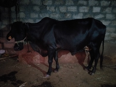 थंबनेल 2