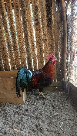 थंबनेल 3