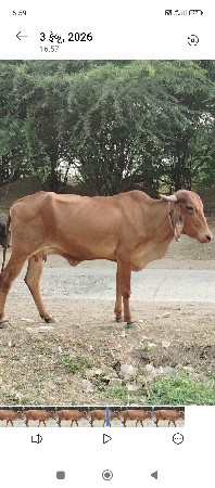 थंबनेल 2