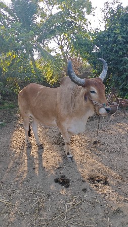 थंबनेल 2