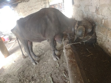 थंबनेल 2