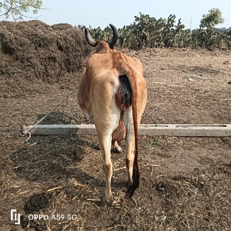 थंबनेल 3