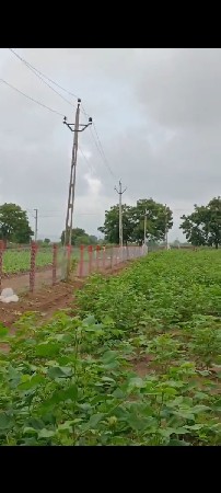 જમીન - મકાન