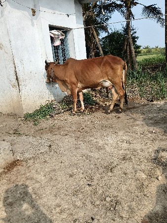 थंबनेल 2