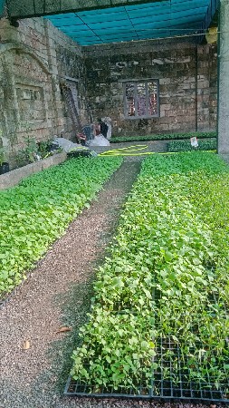 થંબનેલ 3