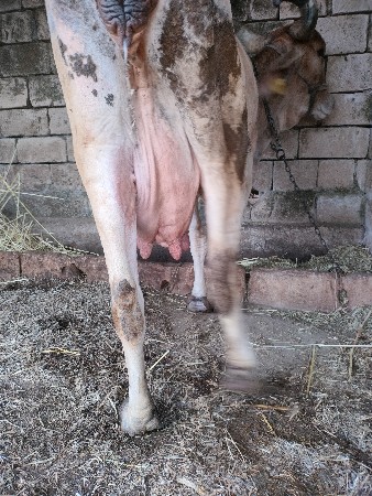 थंबनेल 3