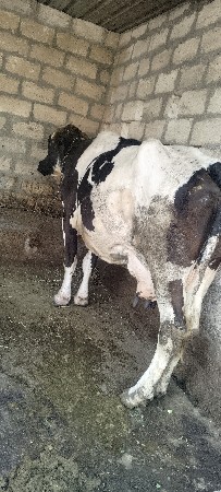 थंबनेल 3