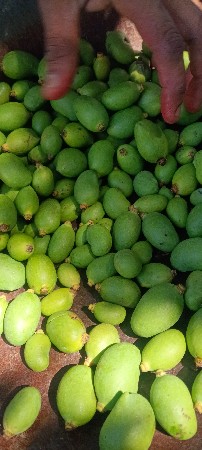 થંબનેલ 3