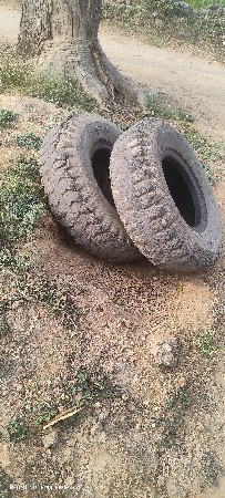 थंबनेल 3