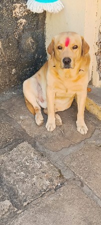 મીટીંગ માટે