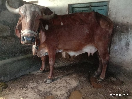 थंबनेल 3