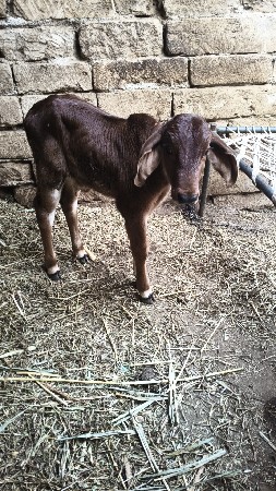 थंबनेल 5