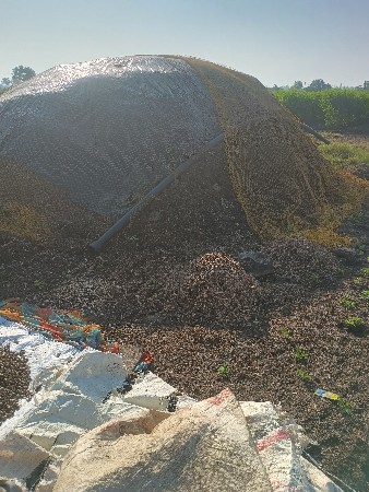 mandaviu 10vighanu koru