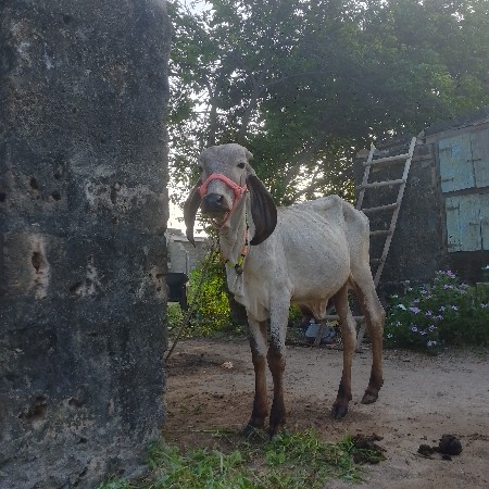 थंबनेल 3