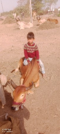 थंबनेल 2