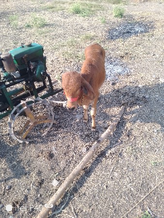 थंबनेल 3