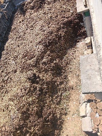 દેશી ચણીયો ખાતર