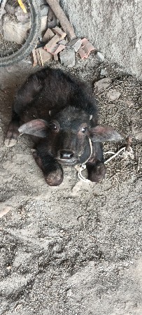 थंबनेल 2