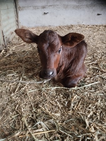 थंबनेल 3