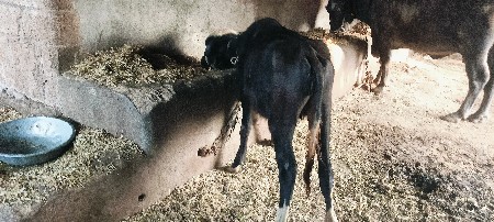 थंबनेल 3