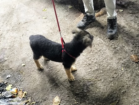 થંબનેલ 3