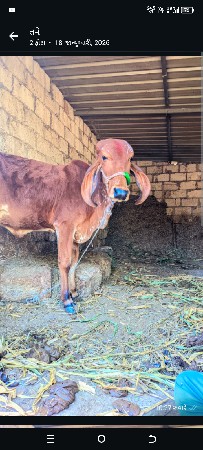 थंबनेल 2