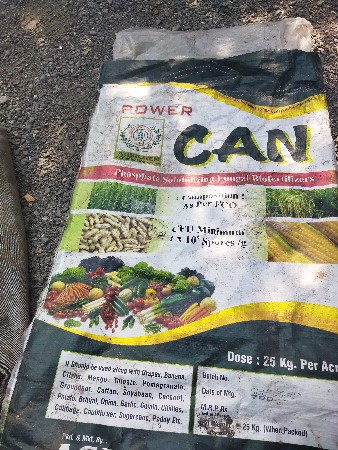 શીતાફળી કાપવાની છે