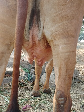 थंबनेल 3