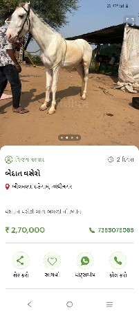 થંબનેલ 3
