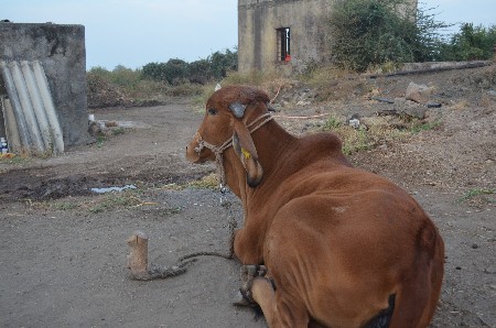 थंबनेल 2