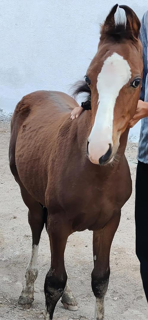 थंबनेल 2