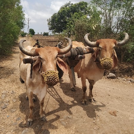 थंबनेल 2