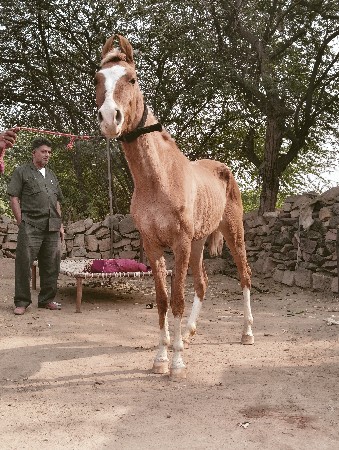 થંબનેલ 2