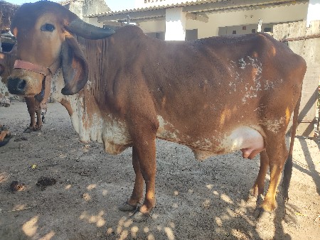 थंबनेल 2