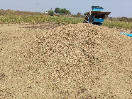 તુવેર નો ભૂકો