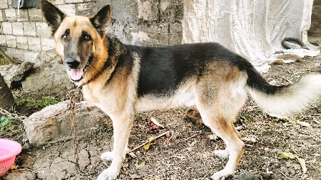 મીટિંગ માટે છે વેચવાનો નથી