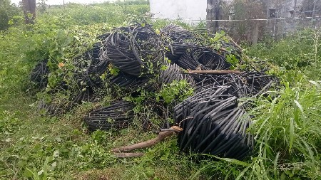 थंबनेल 5