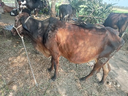 थंबनेल 2