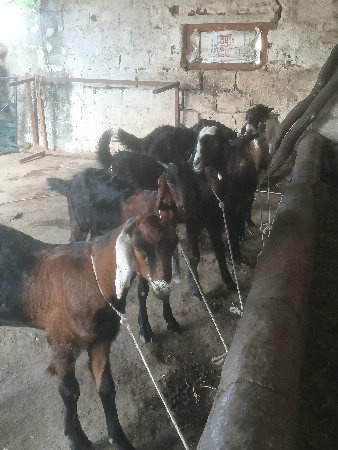 थंबनेल 3