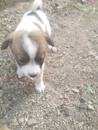 थंबनेल 2