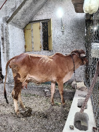 थंबनेल 3