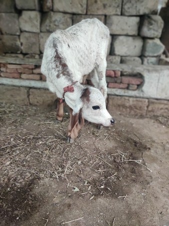 थंबनेल 2