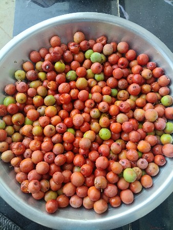 થંબનેલ 3